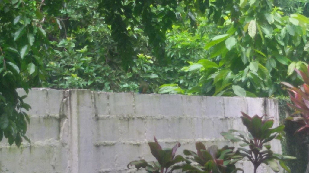 20150926_114143