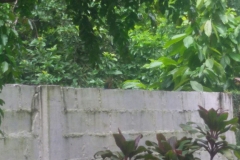 20150926_114147